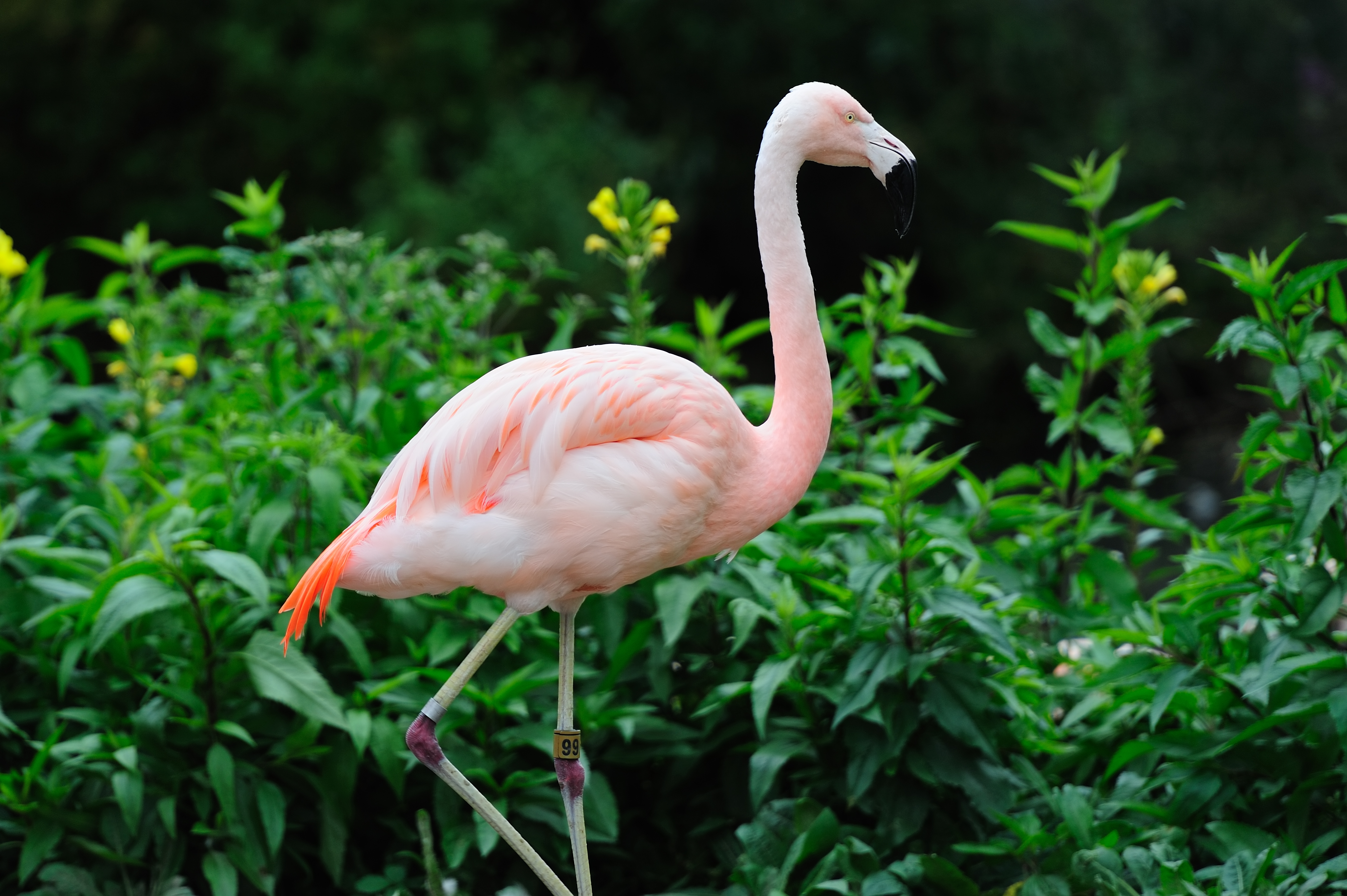 Florida Ink & Toner Recycling